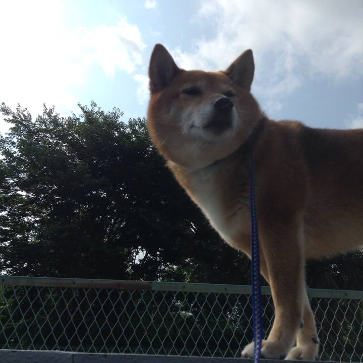 4ee4275d b797 4a61 a20b a799adedb57f