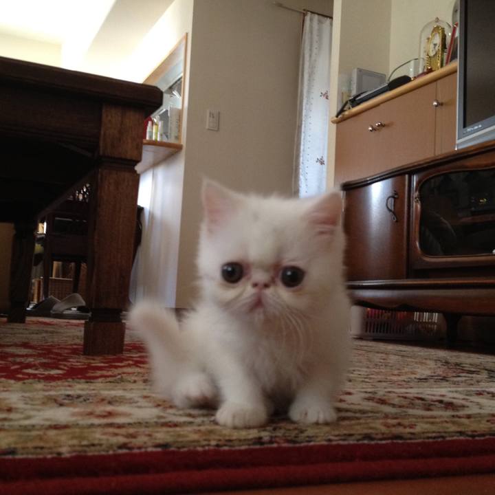 4ee462f0 9785 43ff b037 3ba859916ceb