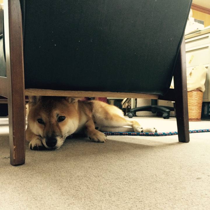 4ee4b2a3 27e9 4305 8401 eee65d4ef212