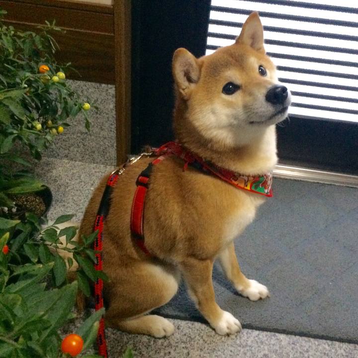 4ee56e54 b277 4fe3 ae52 074d7ae8bff9