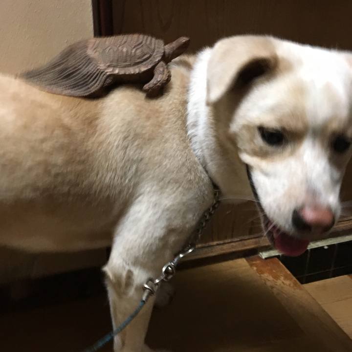 4ee60b98 27d4 42b6 8e2a 4dd58dd4087d