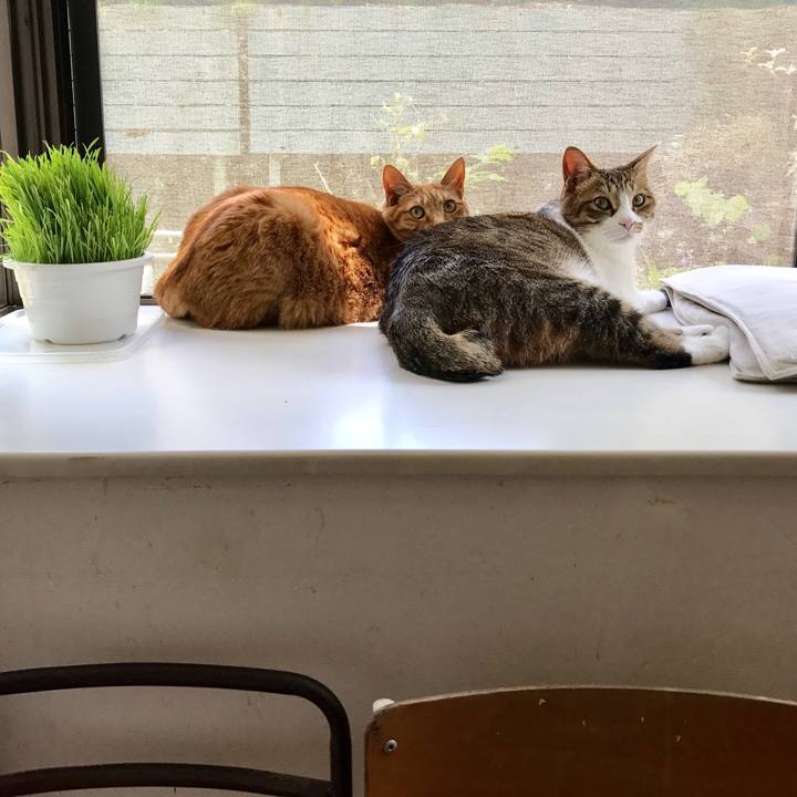 4ee69d83 cc73 4973 89f7 bfa1b98b9d70