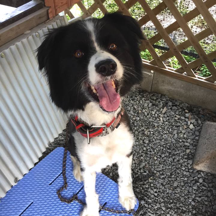 4ee6f48d fc0c 42ef a38e b5fbd777901e