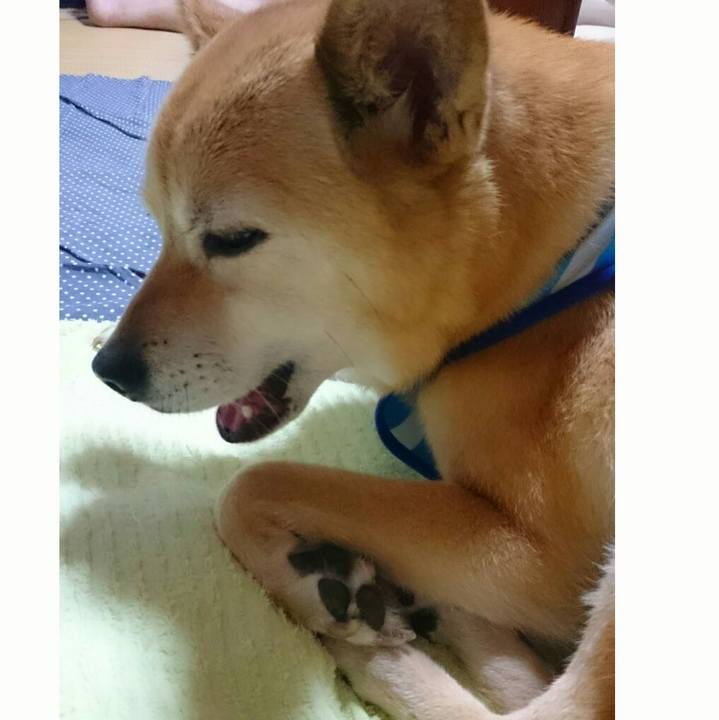 4ee750c9 9de2 4fc0 97ec 065467904a23