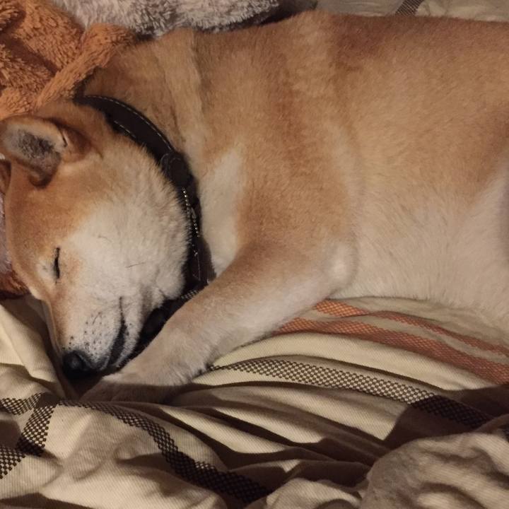 4ee827e7 f633 4093 84fc 3ea302920241