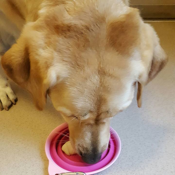 4ee88ada 4bf0 4565 93eb 55a50d963dbf