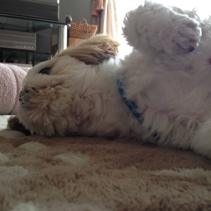 4ee898be fdb3 4261 9cd0 85765f1e88f9