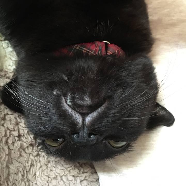 4ee8ace1 2622 47e3 a51b c96ddad345f8