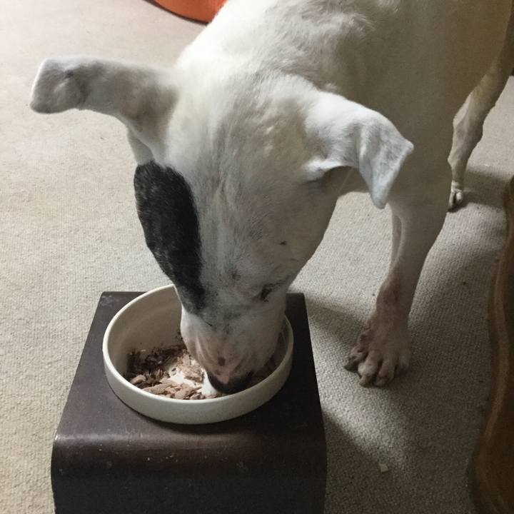 4ee8c559 7f3f 4004 95bd 44ffde69ef4e