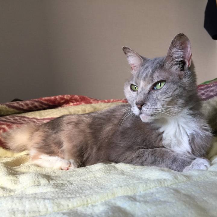 4ee8d0d9 fff0 4652 9a28 51b2b8969623