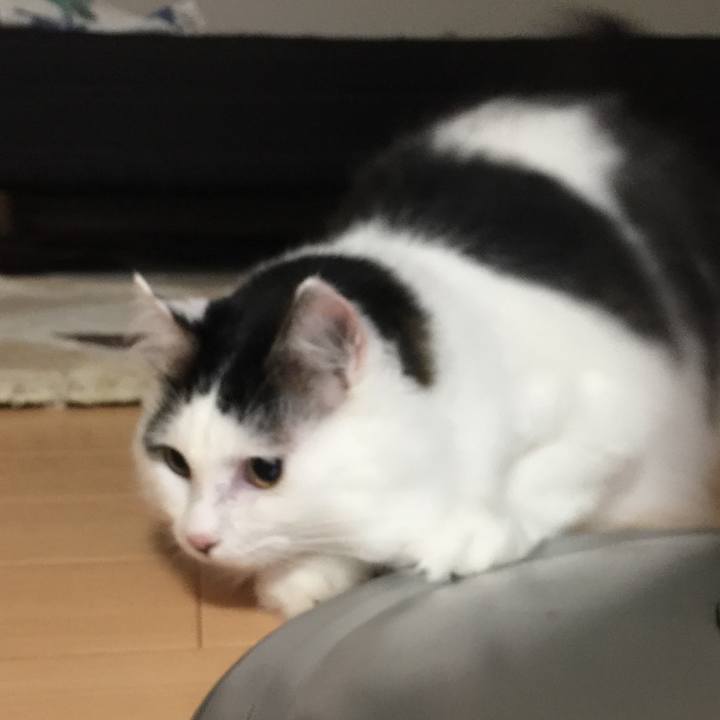 4ee9e539 4b0d 4987 9a13 f8b807a1f848