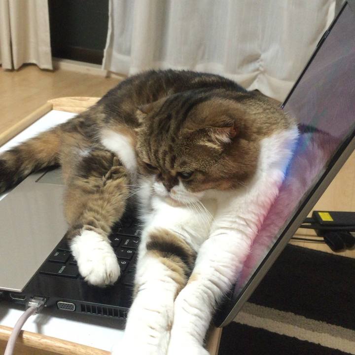 4ee9e668 cce5 4f40 8482 46957336d903