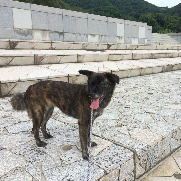 4eeaa590 4a1a 4e4c b15f 40393e936c7e