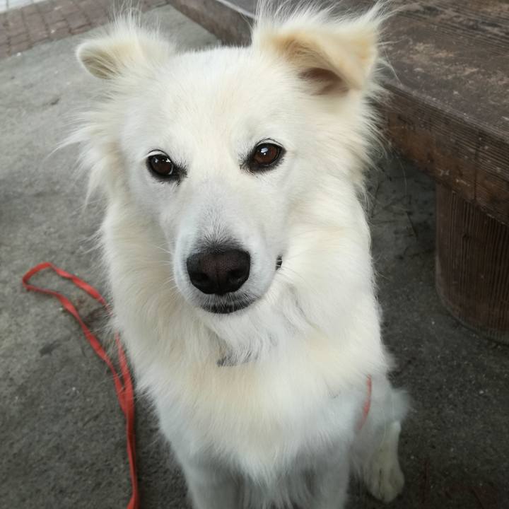 4eeb0f8d a5b5 4b2b 8e80 e088df1e4e2f