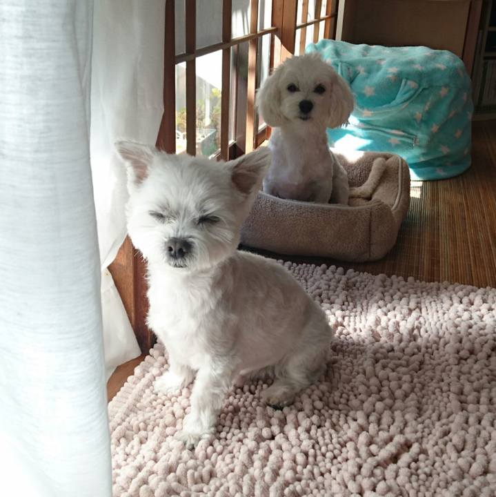 4eeb391d ca7f 4b99 b8b0 0822203b39de