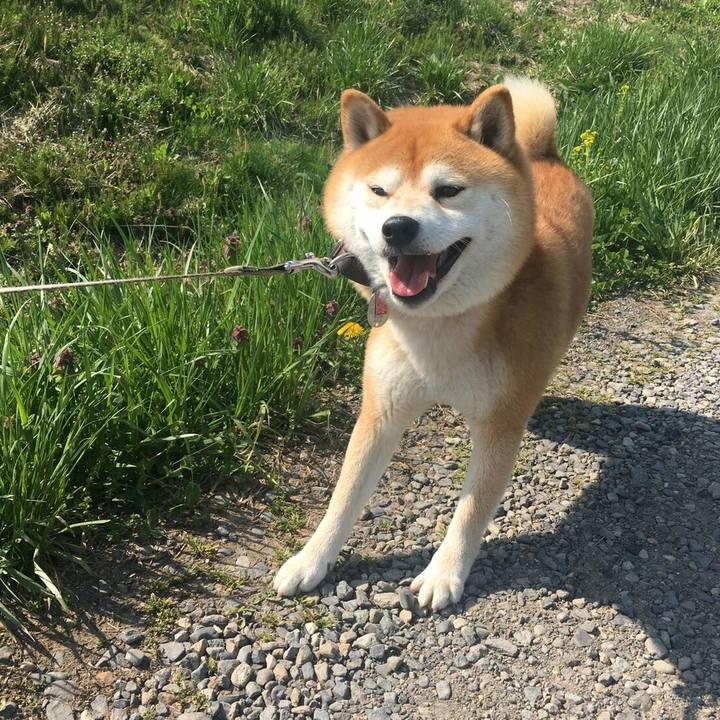 4eebee33 a7e5 4222 99c9 885220c0e9ee