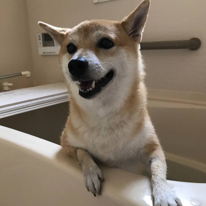 4eec3de4 3d18 49d2 bca6 163e9ff83b0d