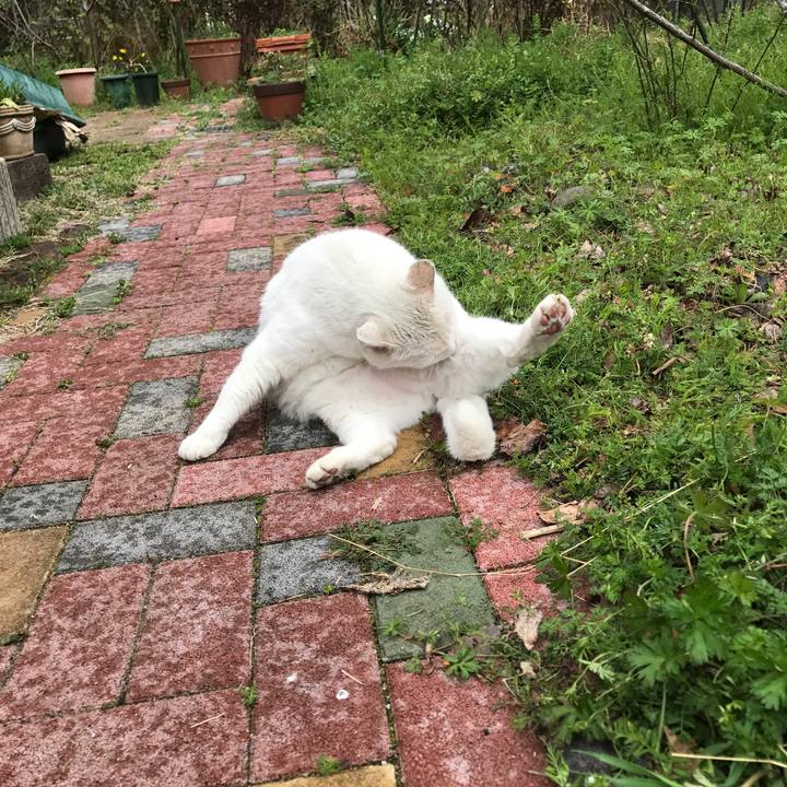 4eecaa5c b1b5 4871 8980 62b816e50ecf