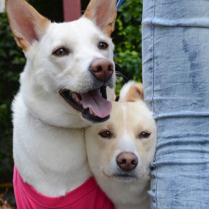 4eecb311 65c1 4f5a 8377 93bd86ebb3cb