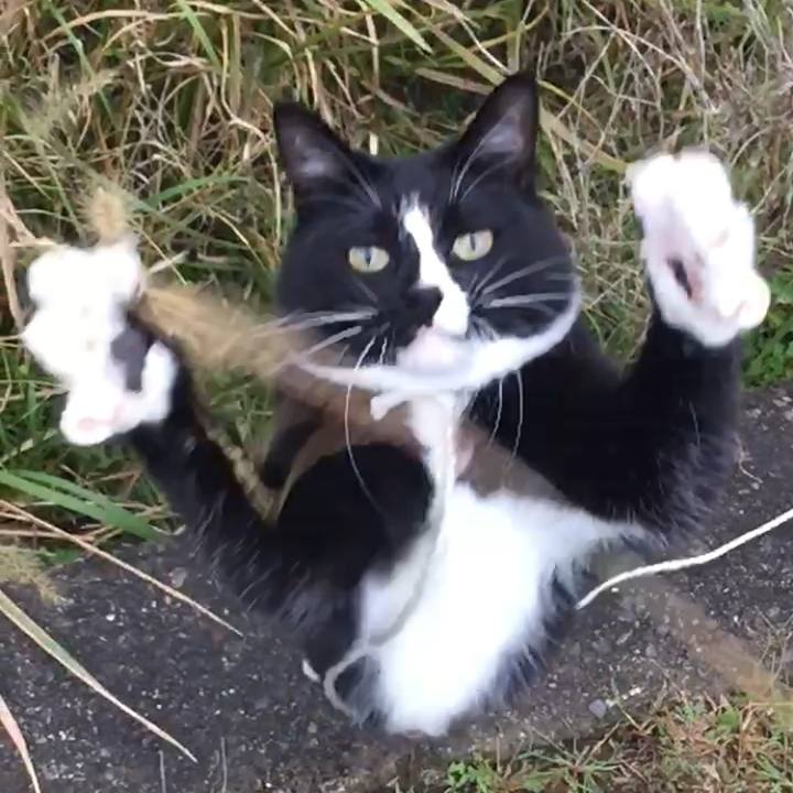 4eecd604 4838 41e5 9d03 eecd8d2d394e