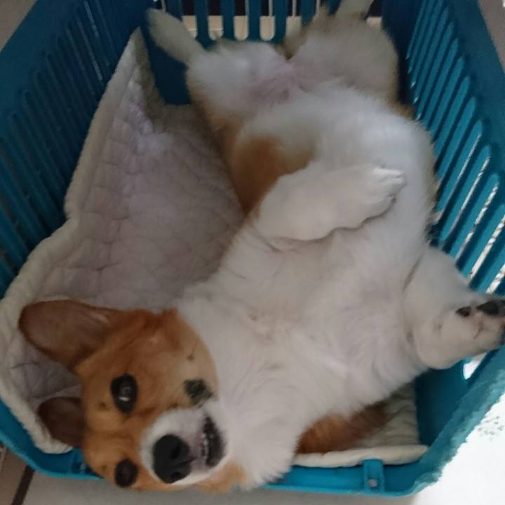 4eecf446 61b7 4025 be76 e2e3dca8bbe5