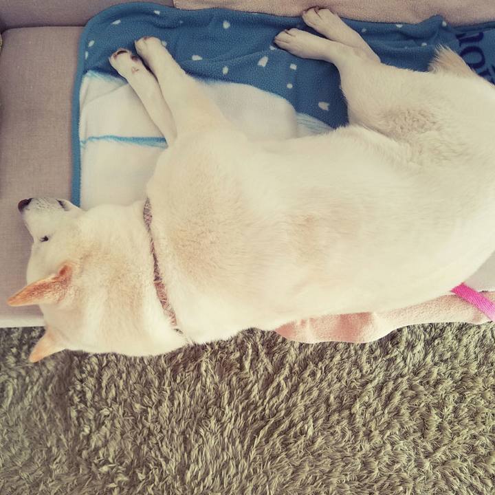 4eee8c81 a275 4b2f 8e20 f6bc6114fca1