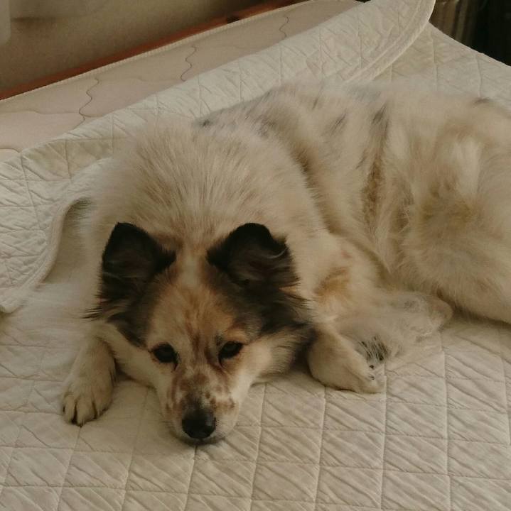 4eef7506 aa84 452e b179 13bc694d2999