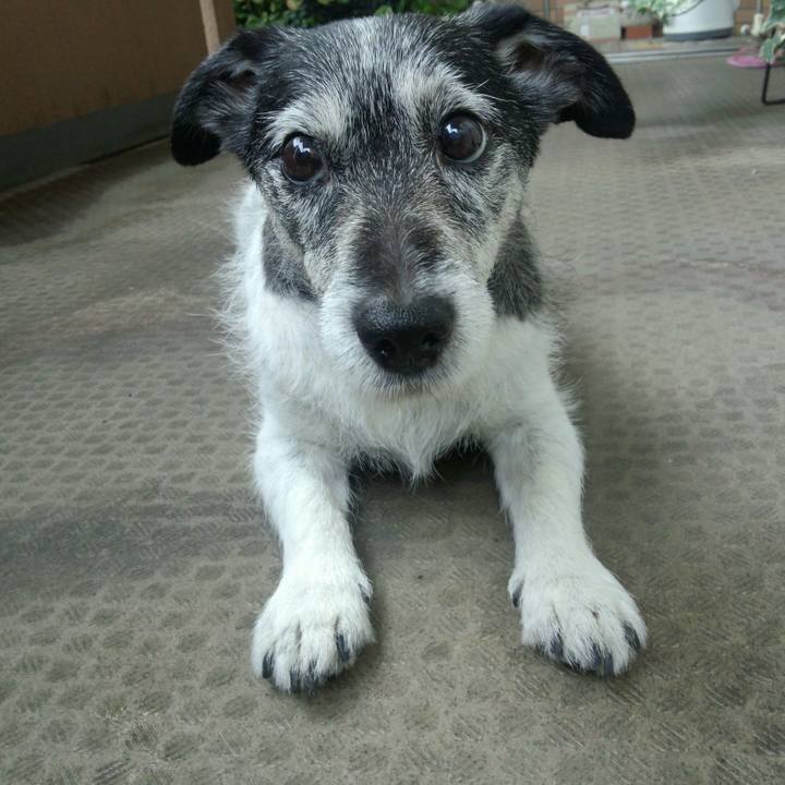 4eefe144 794b 4e6b bbed 46f5da75a699