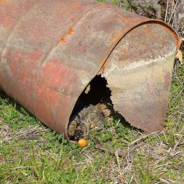 4ef09d2f 3d27 4f5c 96f1 3c7bfc9963bb