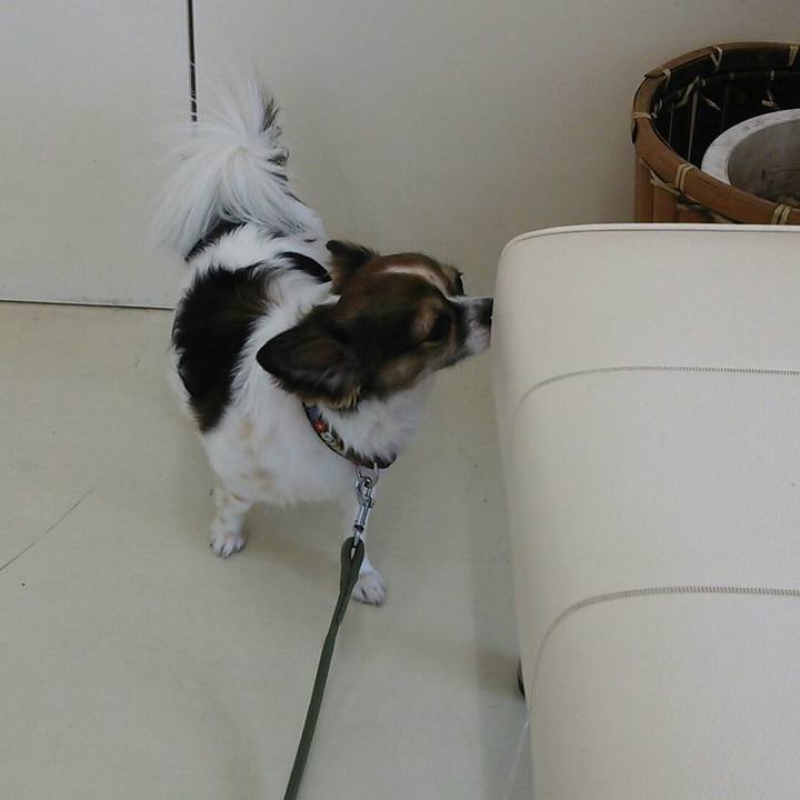 4ef18067 cf29 4123 91d7 894f73481836