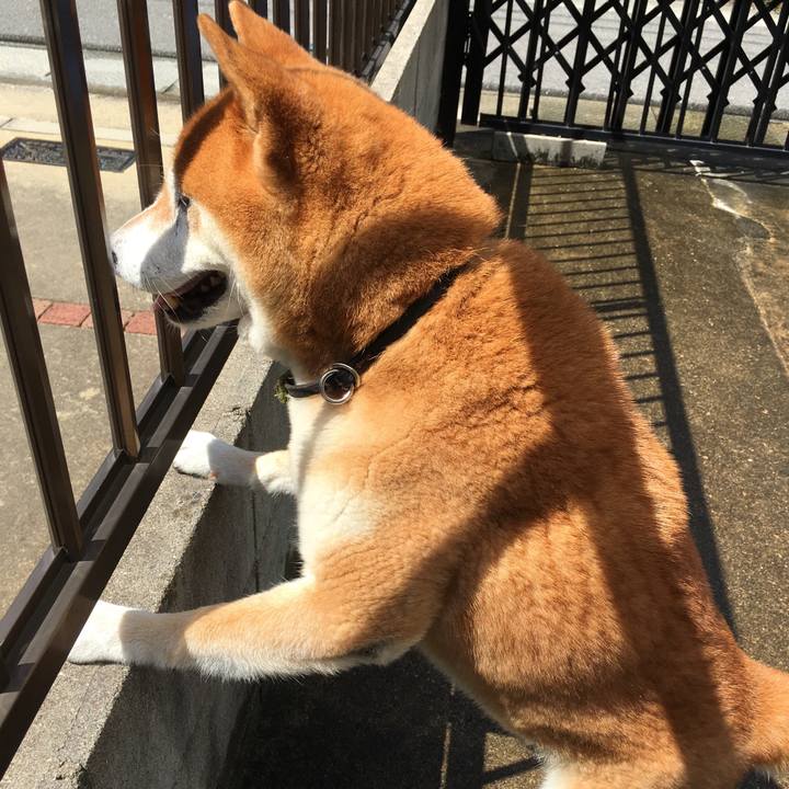 4ef18308 53d8 4713 b07b a6f7cd5e0b99