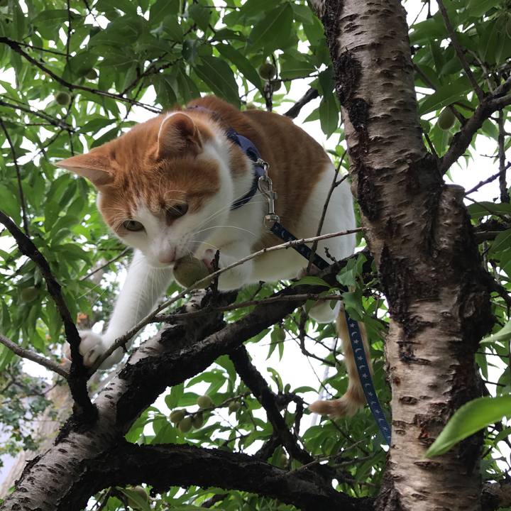 4ef2094d 7a79 4a3e a1a0 787d0349f159