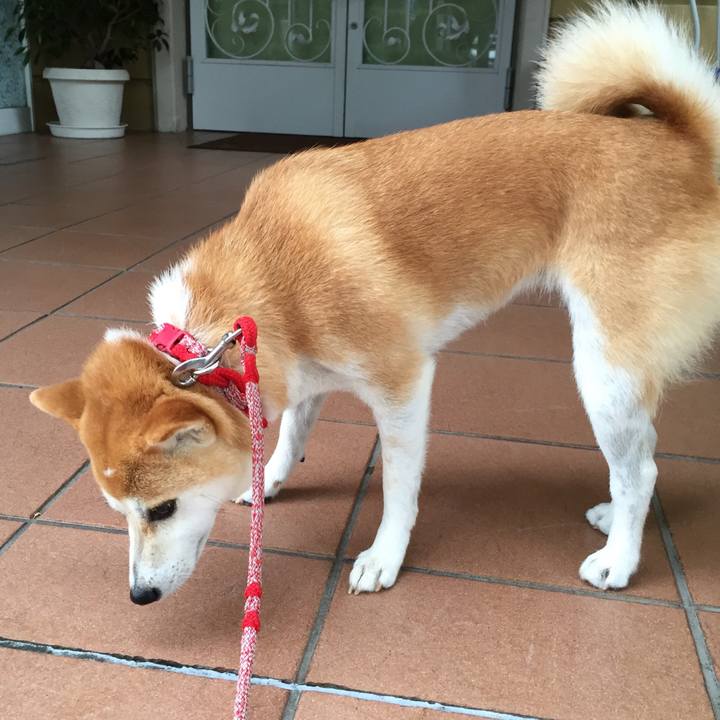 4ef242a0 b098 4f52 af24 b0c8b965a0a2