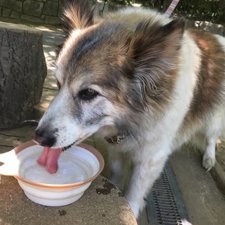 4ef37ad8 4238 4762 9ecb fd19a6dd925b