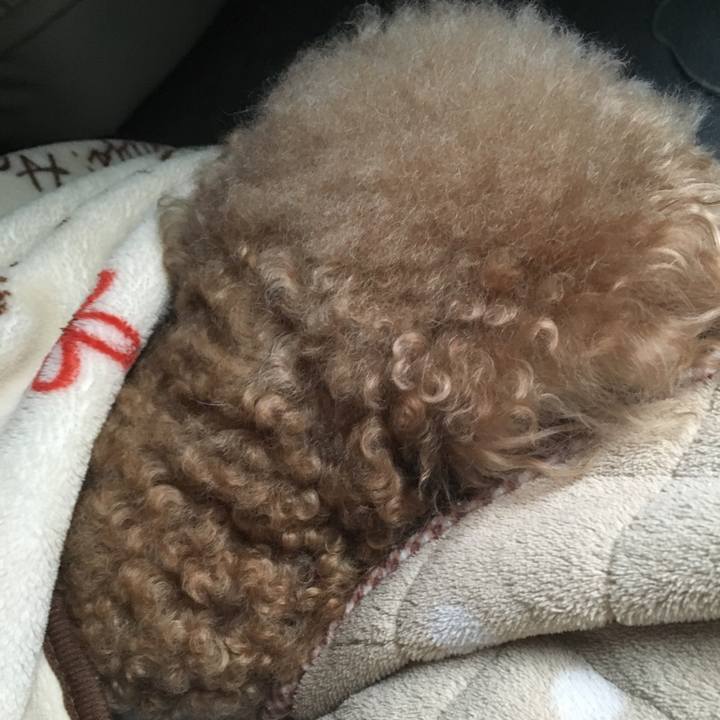 4ef38856 b6cd 4b60 9359 68ed43ec40ef