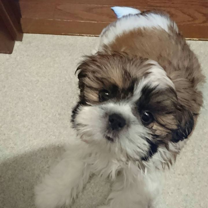 4ef3b02c 7201 437b 8452 87c3290dc5f4