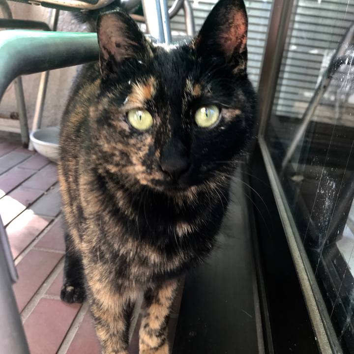 4ef3d770 14ee 455c b196 f4cd46503e81