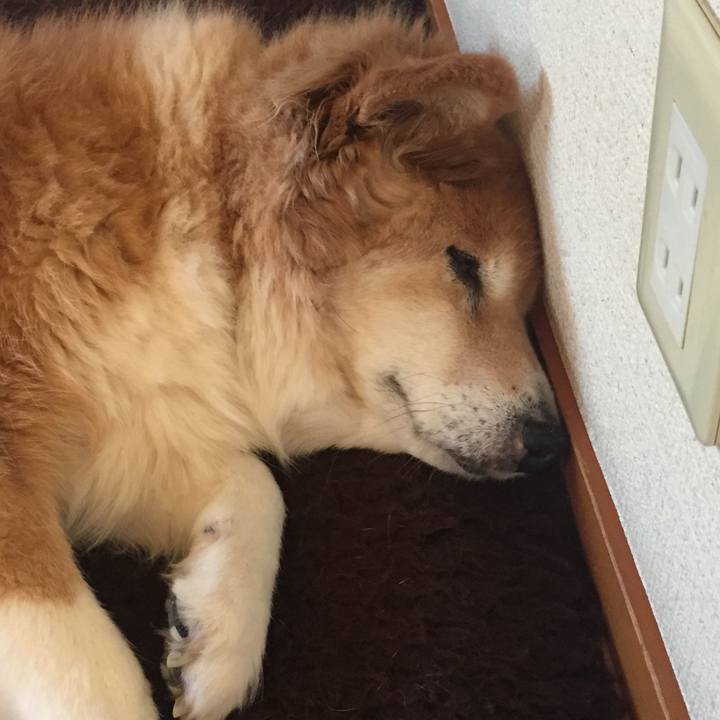 4ef3e5c3 150e 441a 98b0 309058da9e26