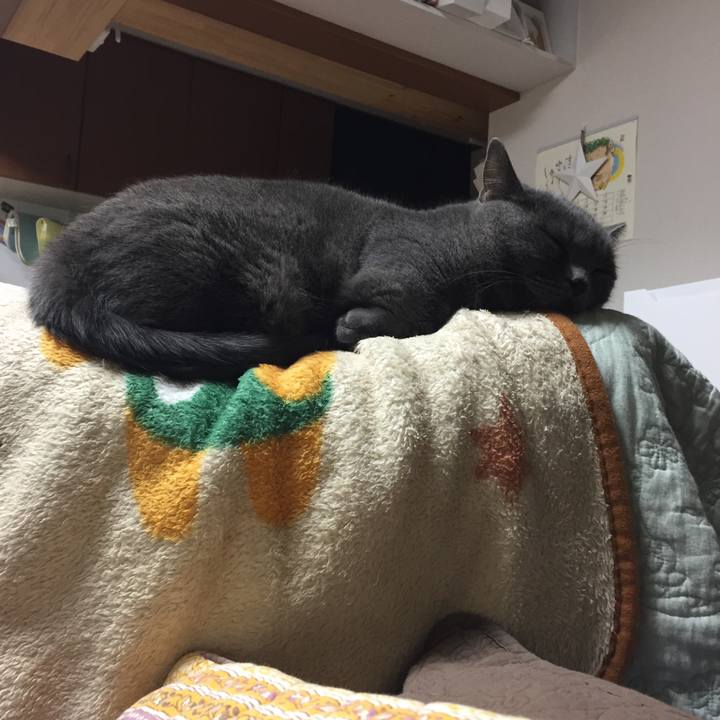 4ef3ef25 1cbe 4511 a569 0657cede7b48