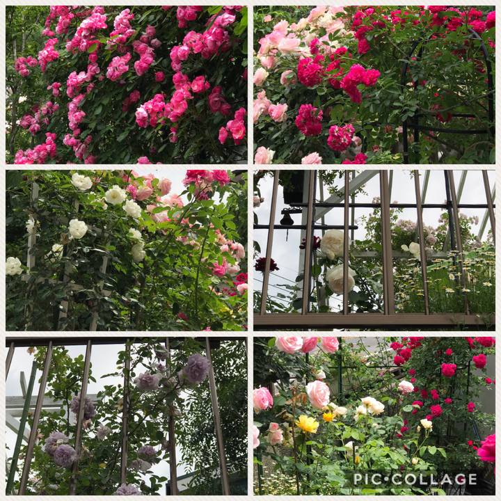 4ef48519 0b37 4f08 ab6a fa4af2658574