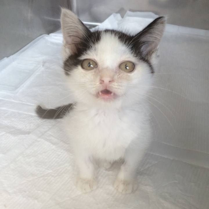 4ef49d86 d36b 4073 ae2d 940b82b4c395