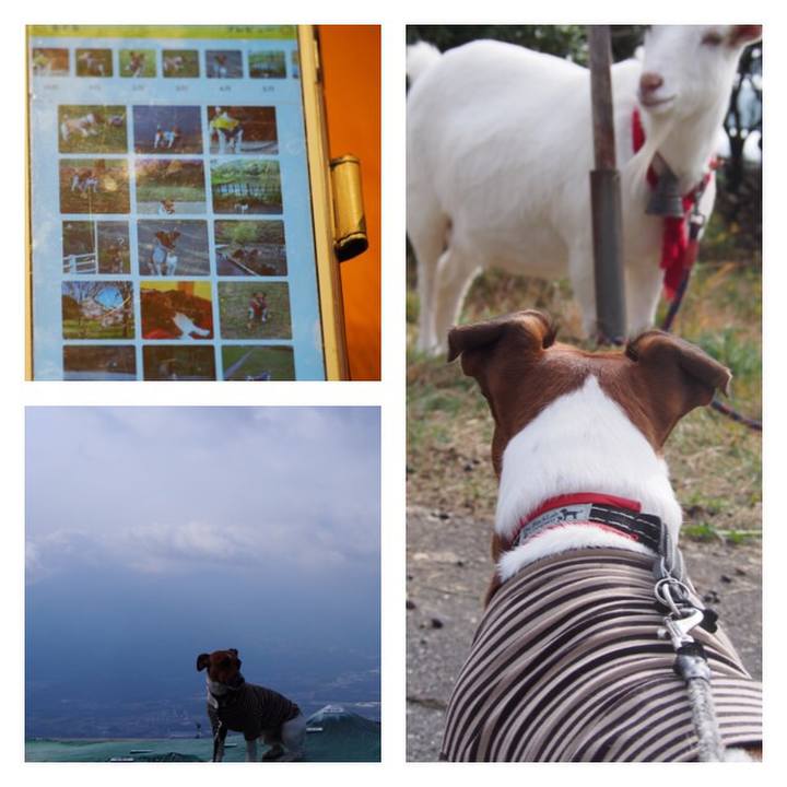 4ef4b473 1e7d 459a bdf6 730d1f1b3e2b