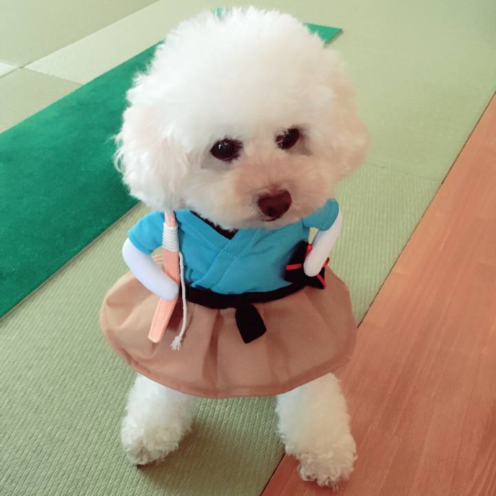 4ef4d0cd c722 41ed 9cdf 34956ef7412a