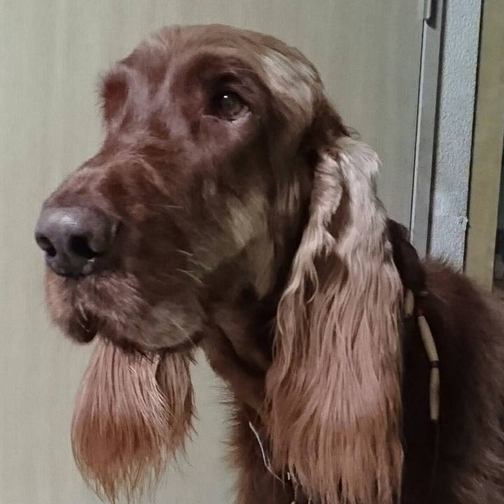 4ef4d72e 556c 43b5 9bc3 726d6eb439fc