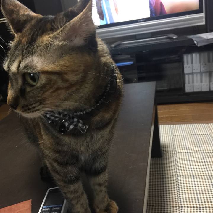 4ef559bb 2fb9 41a0 b761 4c32b2d6609d