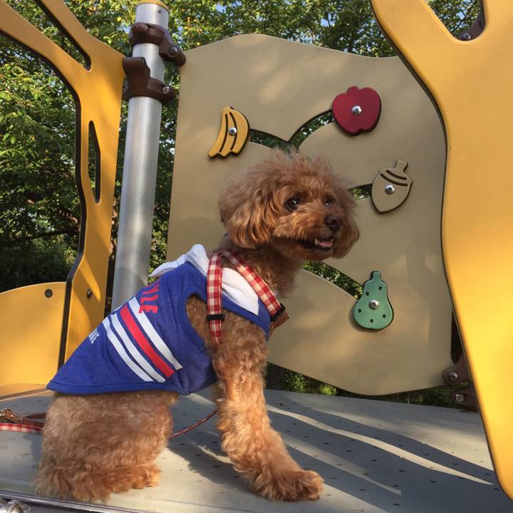 4ef56d89 383c 4ed3 8c4a 017bd2f17f28