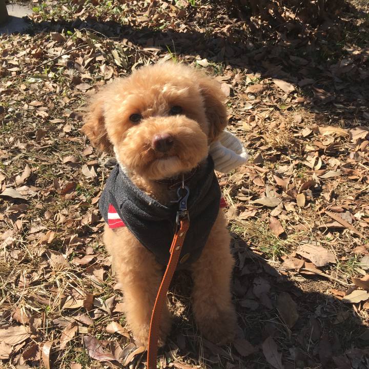 4ef59c7c afca 4127 87dd 0f01ba8e7a40