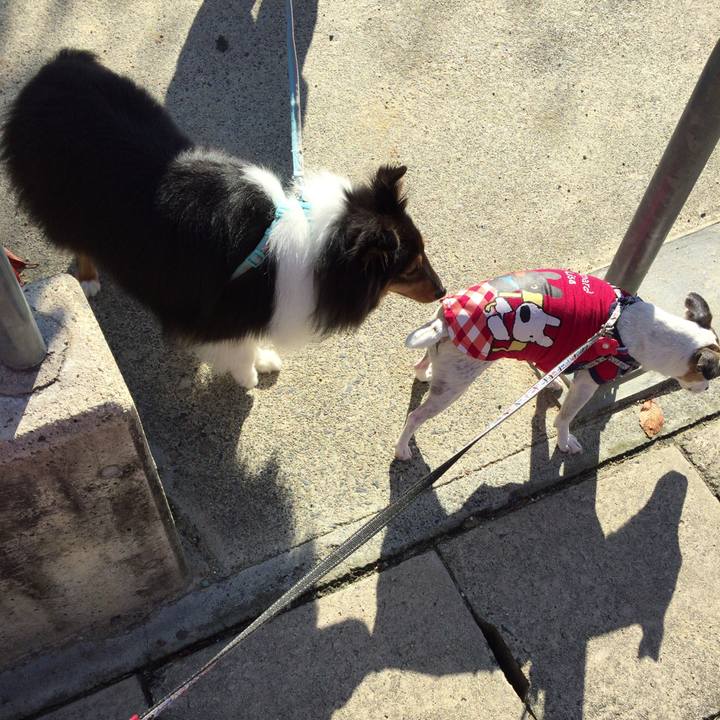 4ef5b871 1afd 4b2b 9b1b 9f3c561eed71