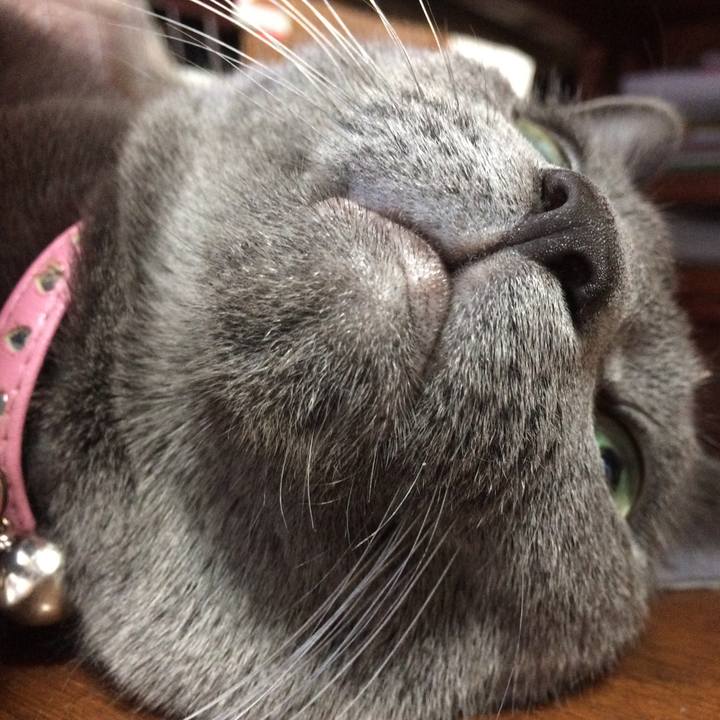 4ef5d38f 6eff 4548 bad4 68bb180b4fed