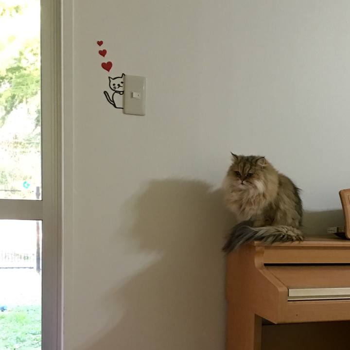 4ef5ea9b 76c1 4872 be27 d3961dfd34dc